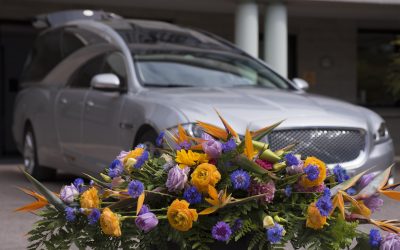 Trasporti nazionali ed internazionali